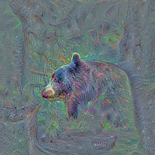 n02132136